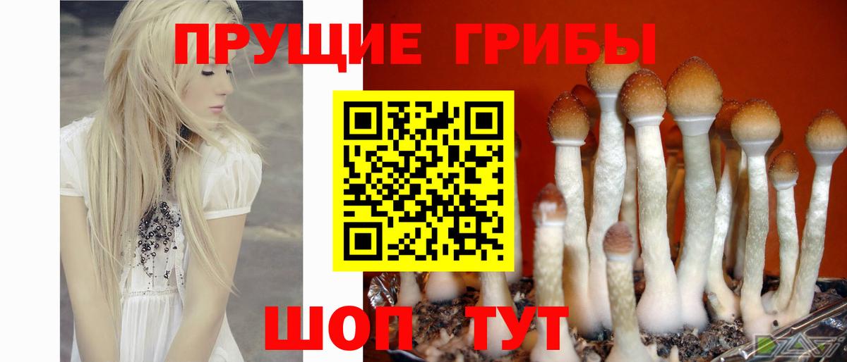 Красноармейск  купить наркотики цена  Вход с VPN  Галлюциногенные грибы Cubensis 